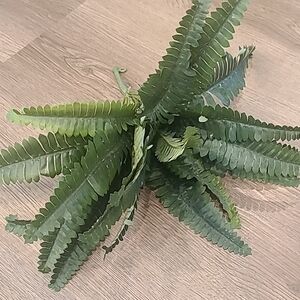Free With Purchase Small Faux Fern Bundle